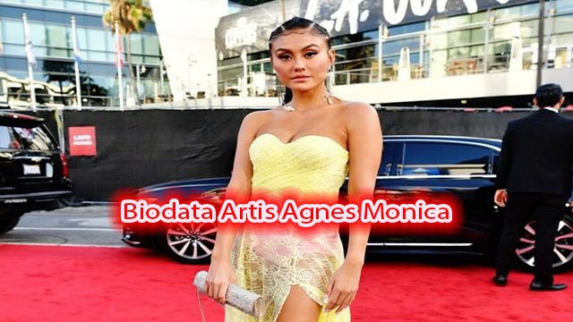 Biodata Artis Agnes Monica